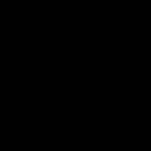 Meet your Posher, Colette